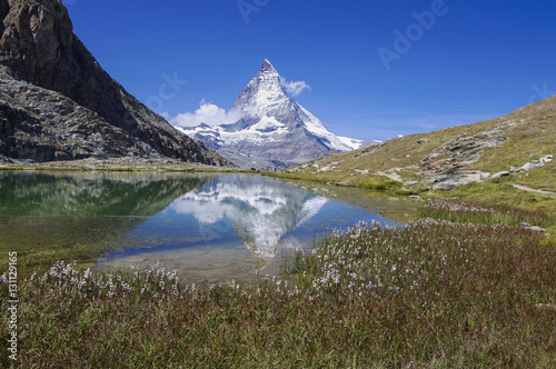 ZERMATT - Wollgrasblüte unterm Matterhorn am Riffelsee