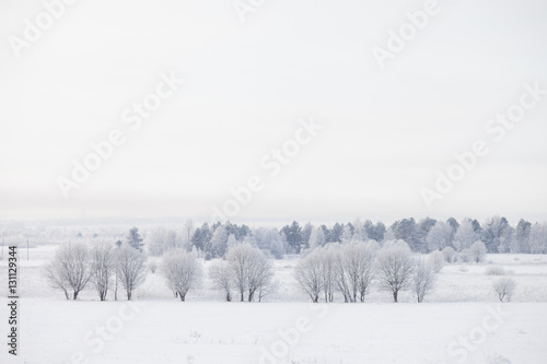 Foto winter russian field