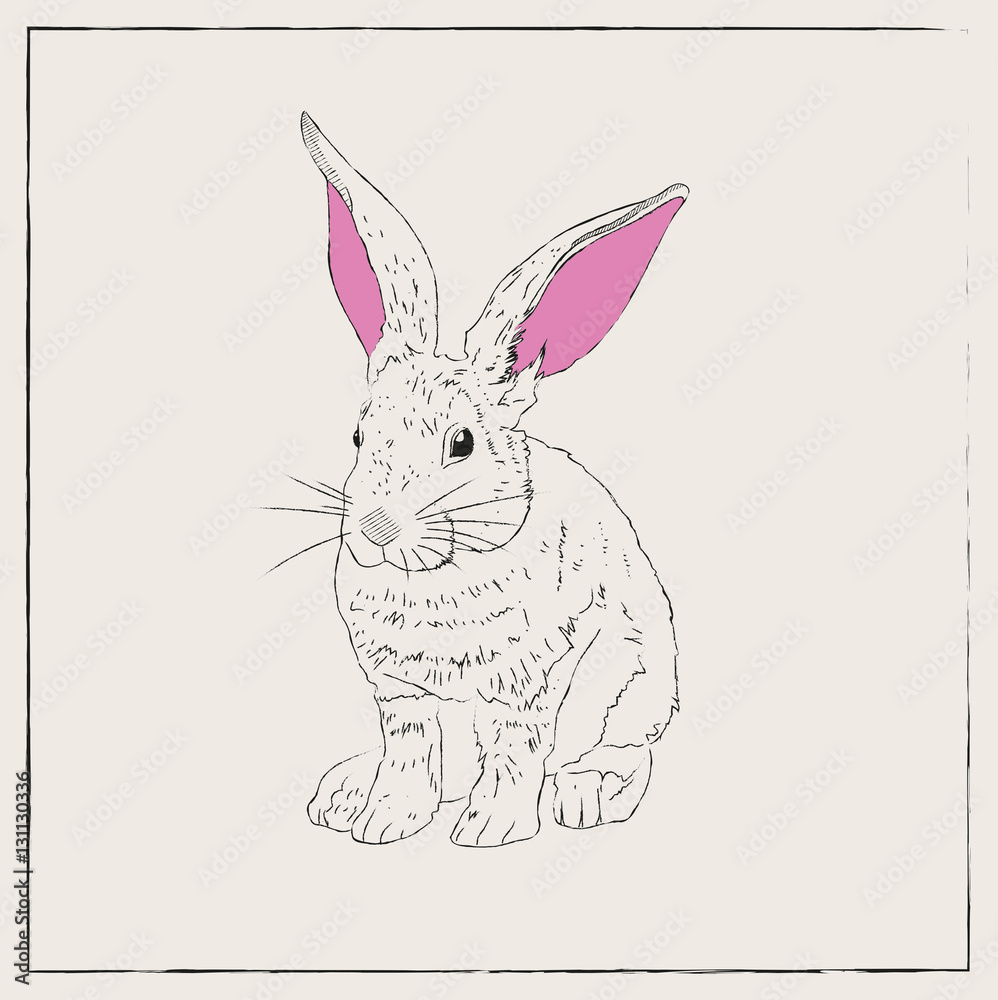 Obraz premium Hare Hand Drawn