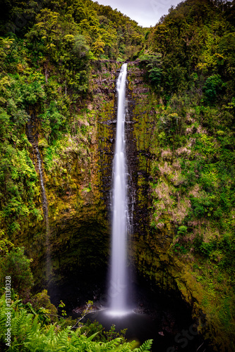 Akaka Falls in Hawaii