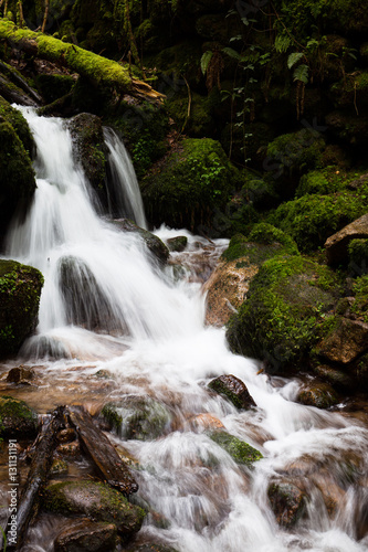 Wild water