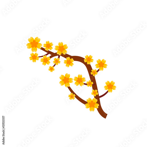 Branch of yellow apricot flower icon