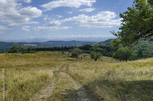Panorama of glade and green forest in Vitosha mountain, Bulgaria 