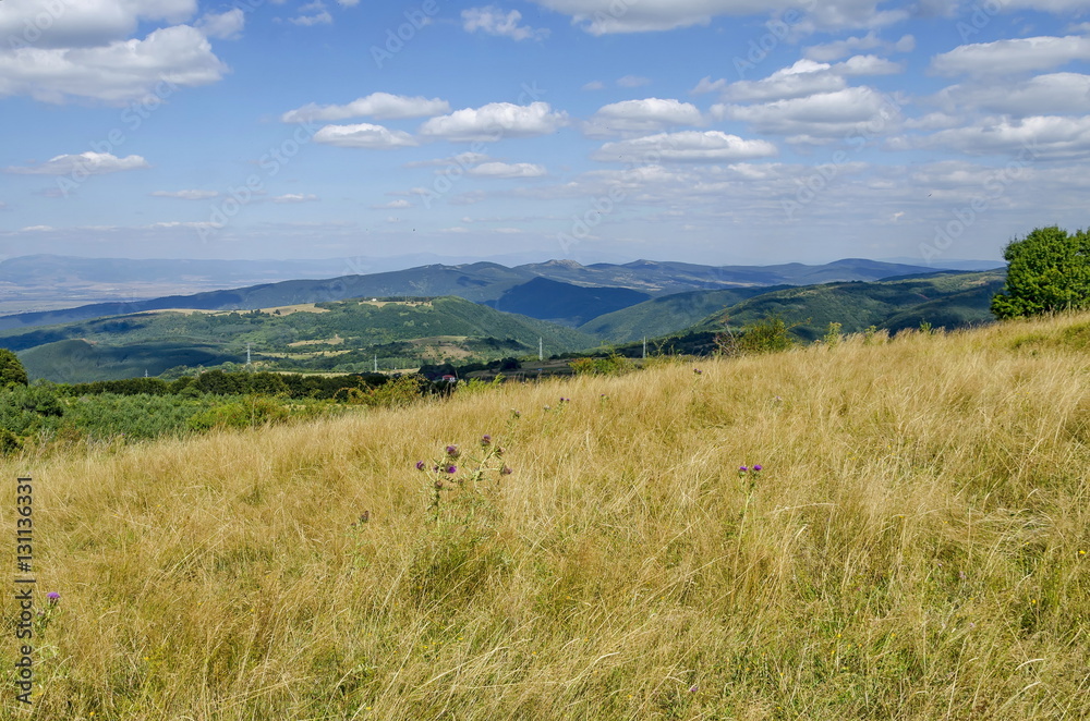 Panorama of glade and green forest in Vitosha mountain, Bulgaria Panorama of glade and green forest in Vitosha mountain, Bulgaria
