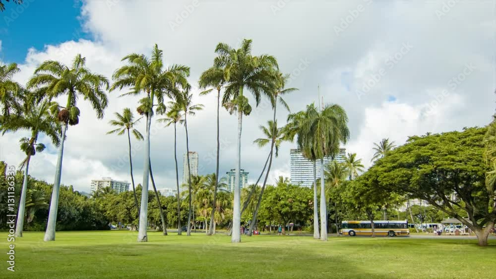 Park in Honolulu Hawaii with Green Grass and Palm Trees at the Tropical Waikiki Beach Resort Hotel Area of the Pacific Destination Park in Honolulu Hawaii with Green Grass and Palm Trees at the Tropical Waikiki Beach Resort Hotel Area of the Pacific Destination