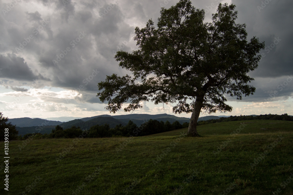 Obraz premium Mountain View