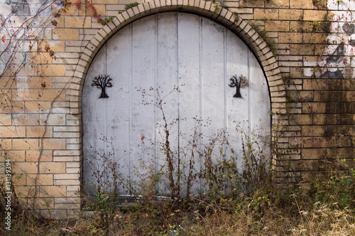 Abandoned Door