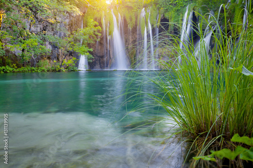 Beautiful summer forest waterfall