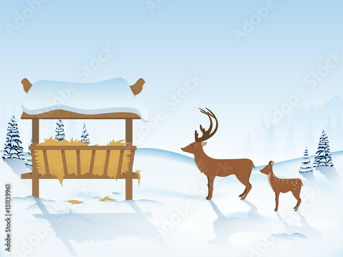 the deer with the deer near the feeders in the winter forest