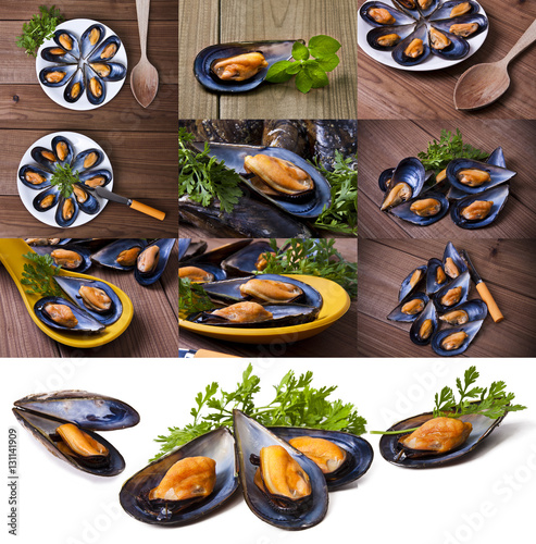 collection of photos of mussels natural preparations photo