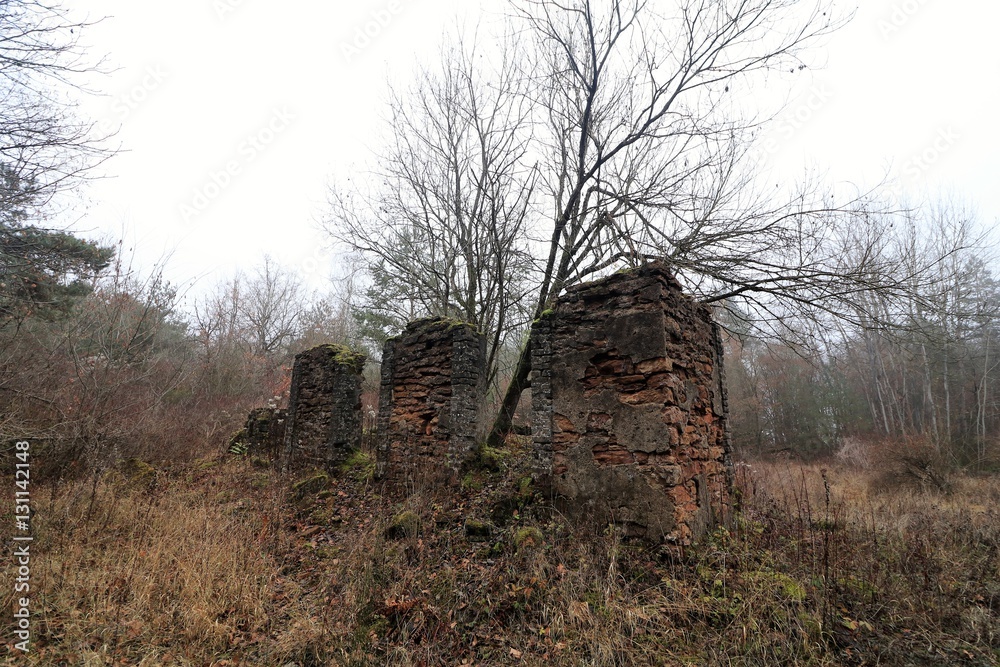 Ruine im Wald - 01