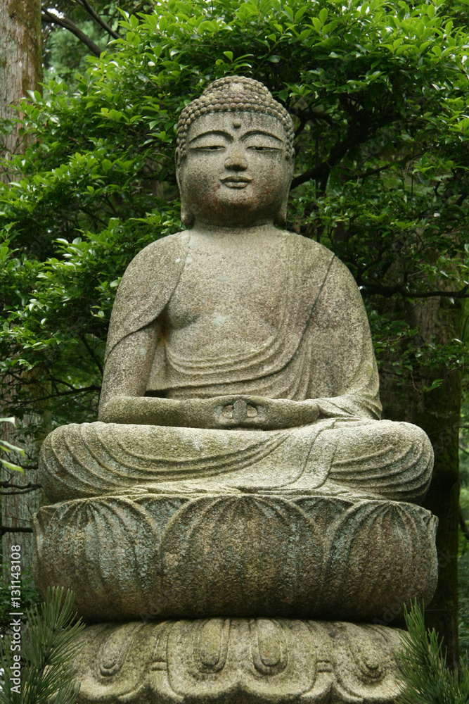 Buddha statue - Ryoan Ji, Kyoto, Japan