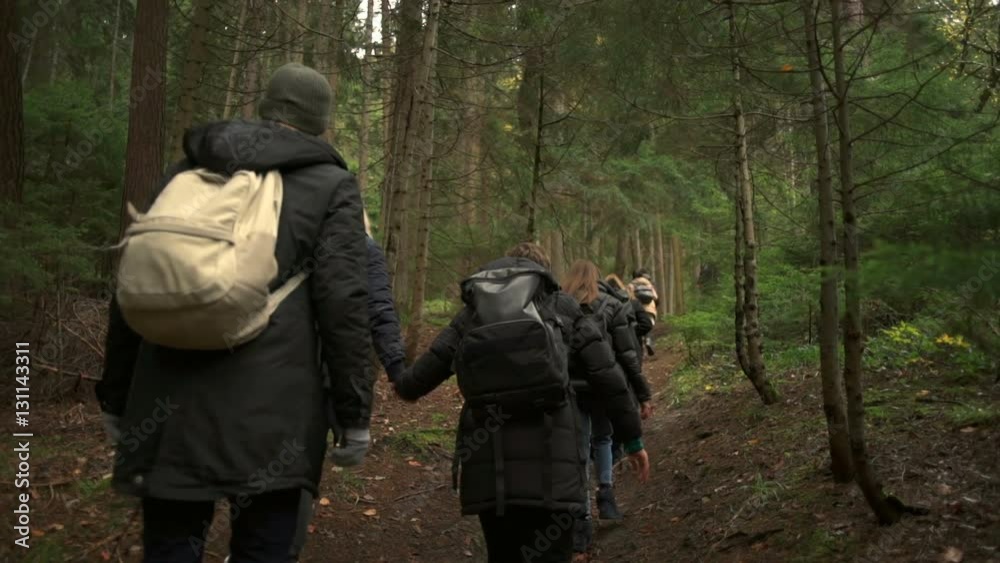 A group of tourists climbing up the hill in the beautiful forest slow motion A group of tourists climbing up the hill in the beautiful forest slow motion