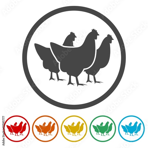 Vector chicken silhouette icons set 