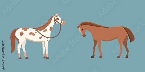 Cute horses in various poses vector design. Cartoon farm wild isolated horse and different silhouette of flat pony