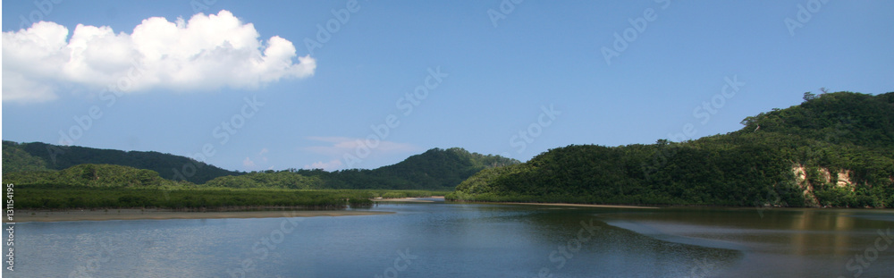 Urauchi River, Iriomote Island, Okinawa, Japan