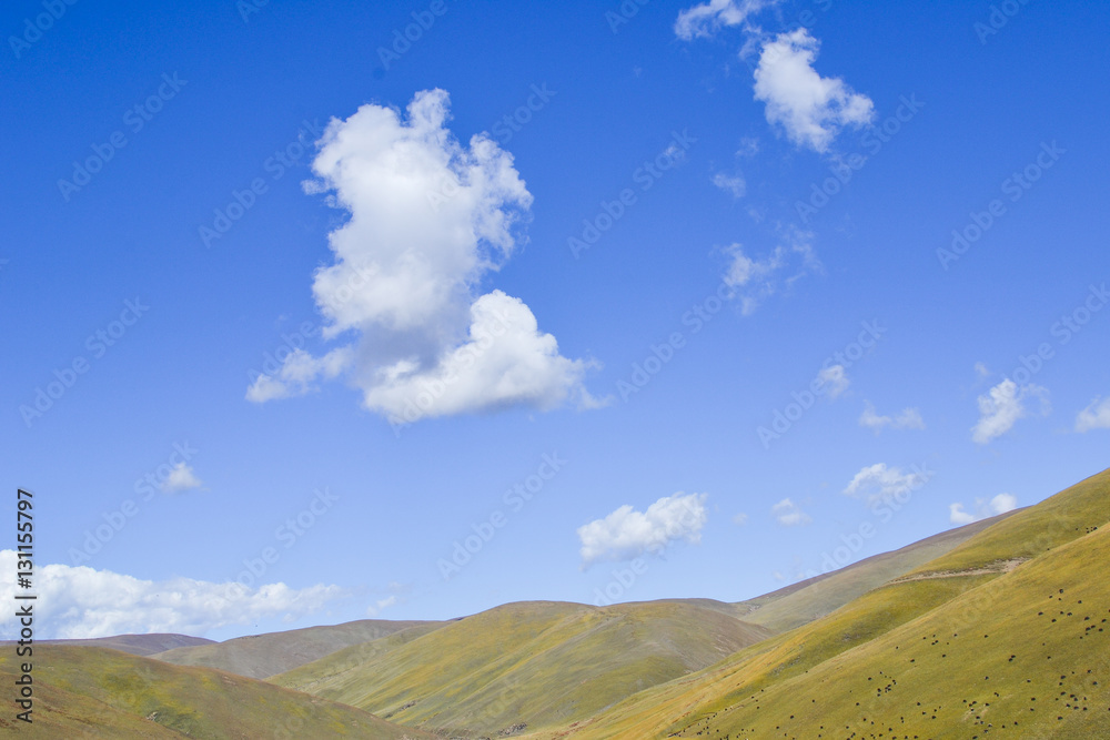 prairie with blue sky prairie with blue sky