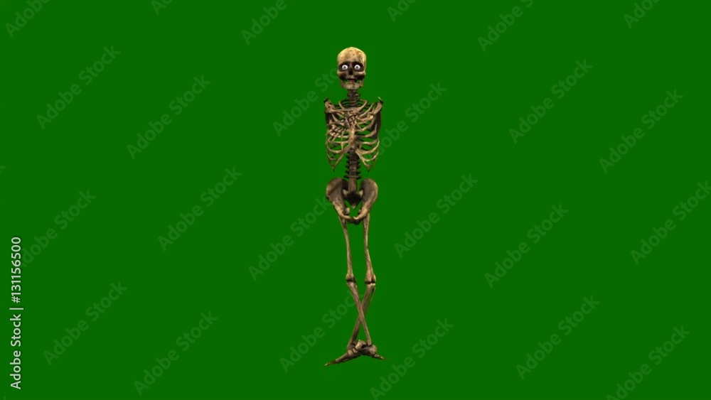 Skeleton dancing ballet on green background, skeleton isolated on green screen Skeleton dancing ballet on green background, skeleton isolated on green screen