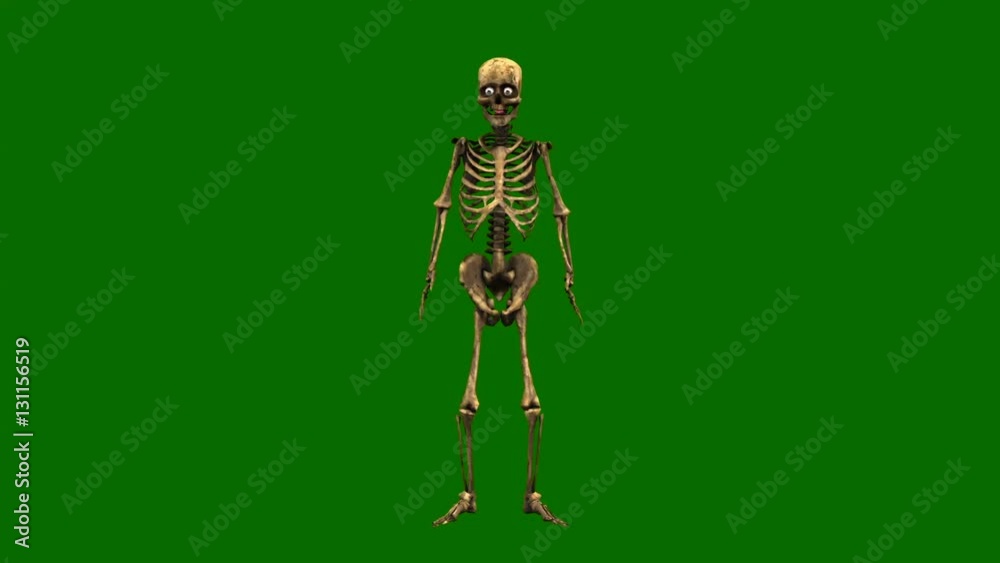 Skeleton break dancing on green background, hip hop dancing skeleton isolated on green screen