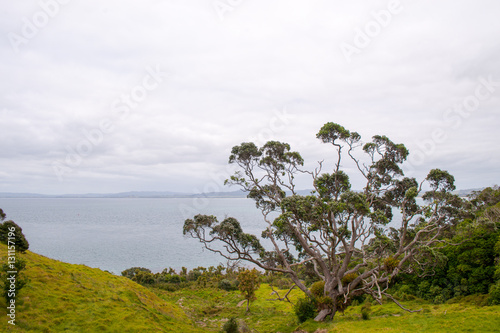 Urquharts Bucht Whangarei Neuseeland