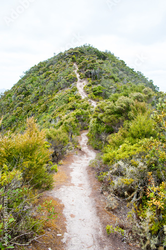 Smugglers Bay Wanderweg