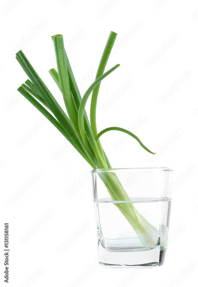 Green onion isolated on the white background Green onion isolated on the white background