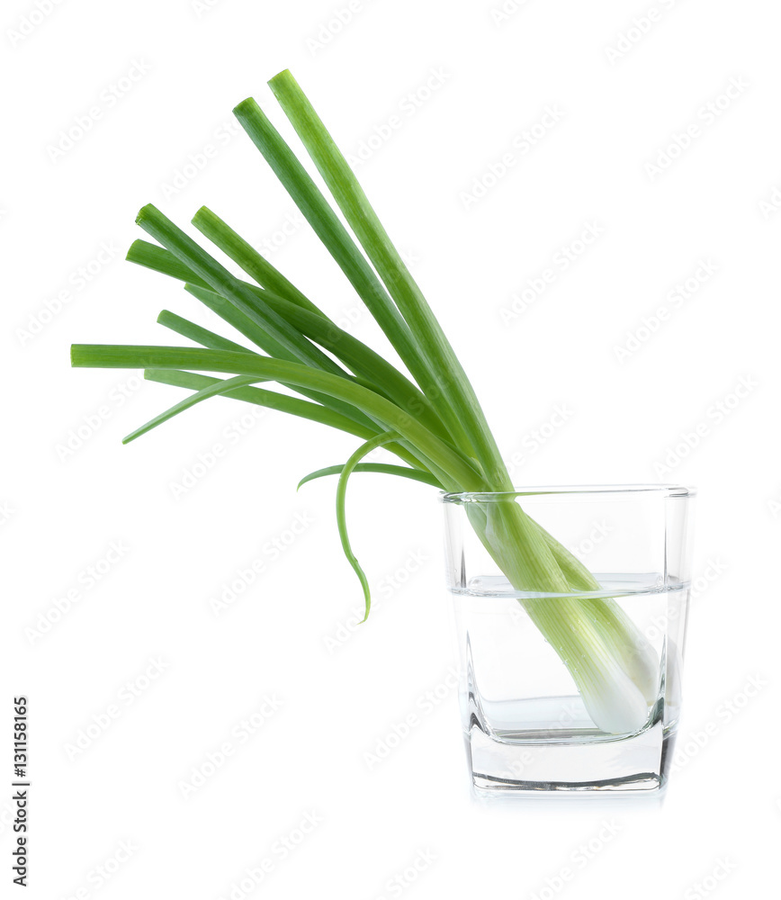 Green onion isolated on the white background Green onion isolated on the white background