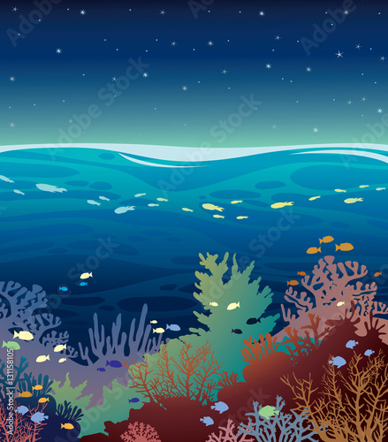 Coral reef with fish and night sky.