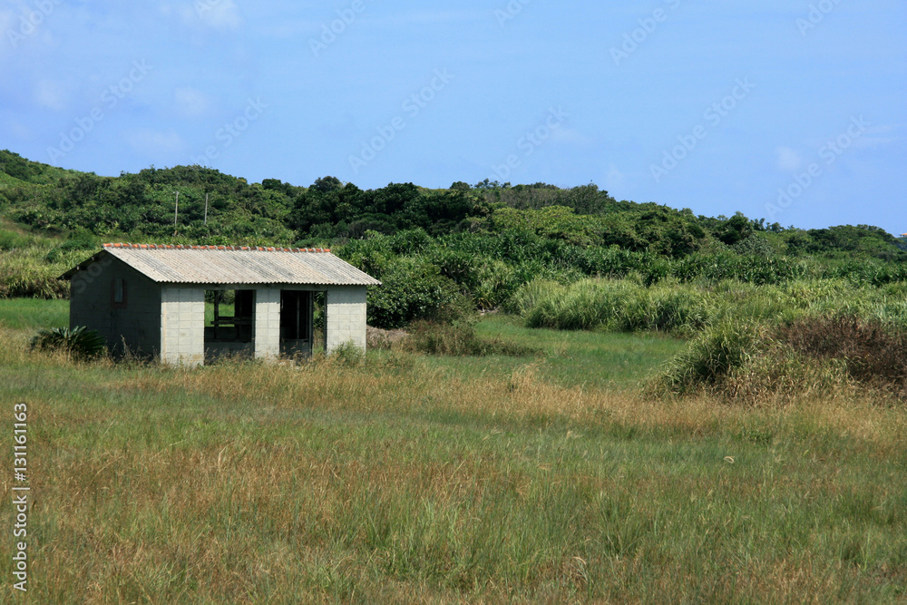 Hut in Field - Yonaguni Island, Okinawa, Japan Hut in Field - Yonaguni Island, Okinawa, Japan