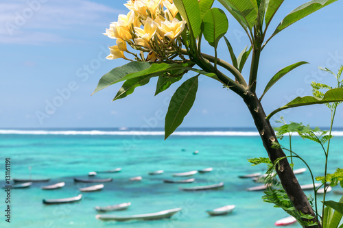 Beautiful tropical ocean landscape, asian flowers, fishing boats on the background. Nusa Lembongan, Indonesia.