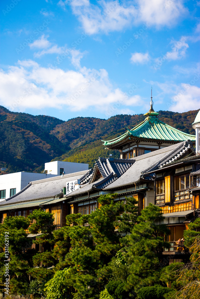 Fototapeta premium Japanese architecture 