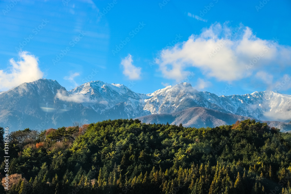 Trees & Mountains