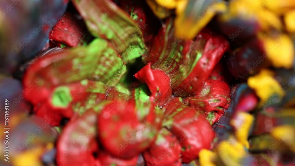 Slowly revolving colorful flower made by pigments