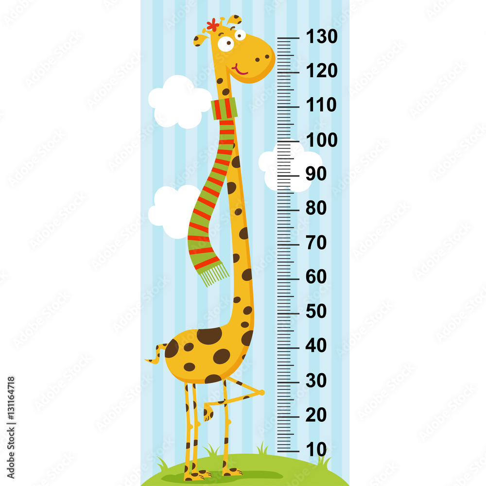 Naklejka premium long neck giraffe height measure (in original proportions 1:4) - vector illustration, eps 