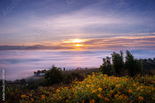 Sunrise and sea of clouds over Pai District Mae Hong Son  THAILAND. View from Yun Lai Viewpoint is located about 5 km to the West of Pai town centre above the Chinese Village.