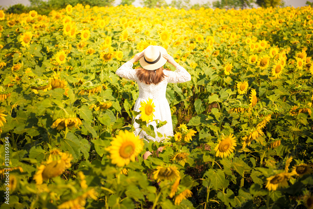 Obraz premium Tourist is travel into Sunflower field.