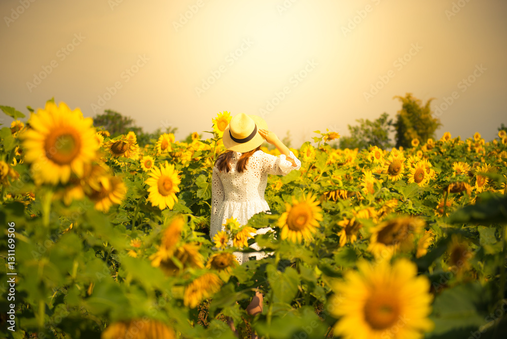 Obraz premium Tourist is travel into Sunflower field.