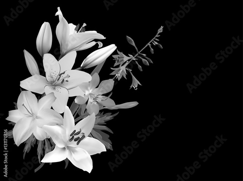 Fototapeta Naklejka Na Ścianę i Meble -  bunch of grey isolated on black lily flowers