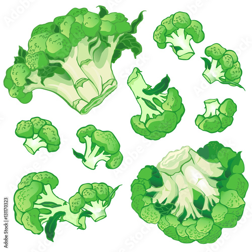 Vector background with a pattern of broccoli