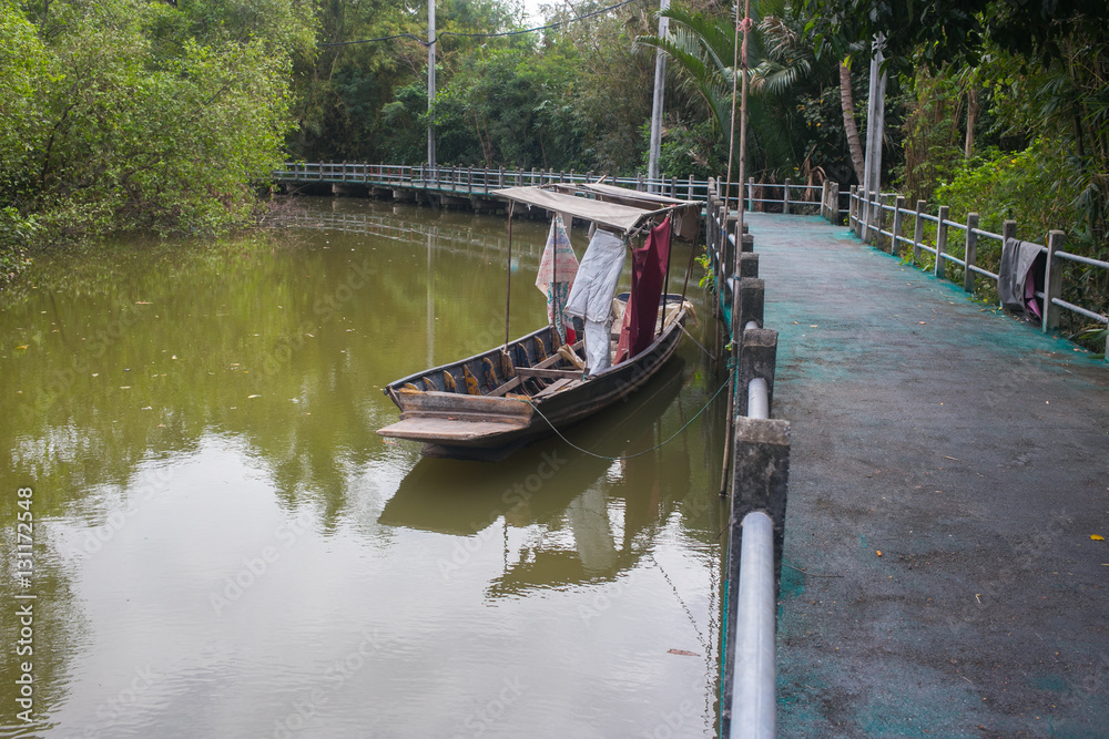 Fototapeta premium trees near the river