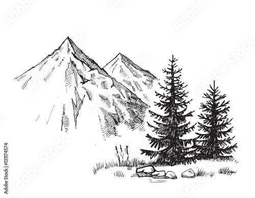 mountain landscape vector