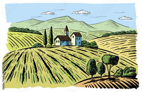 landscape with agrarian fields