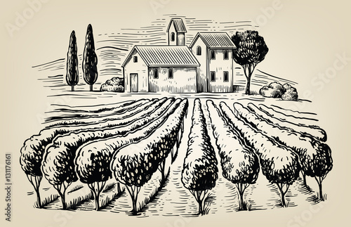 vector village and landscape