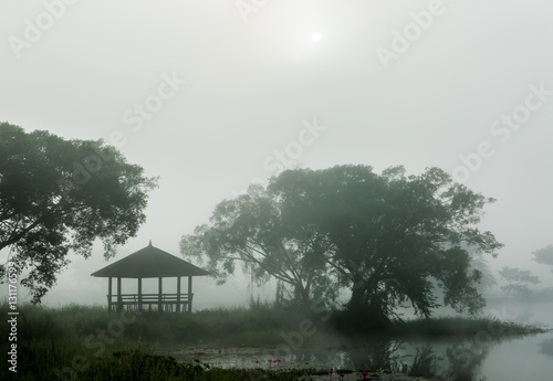 mist near the pond in countryside lamphun Thailand