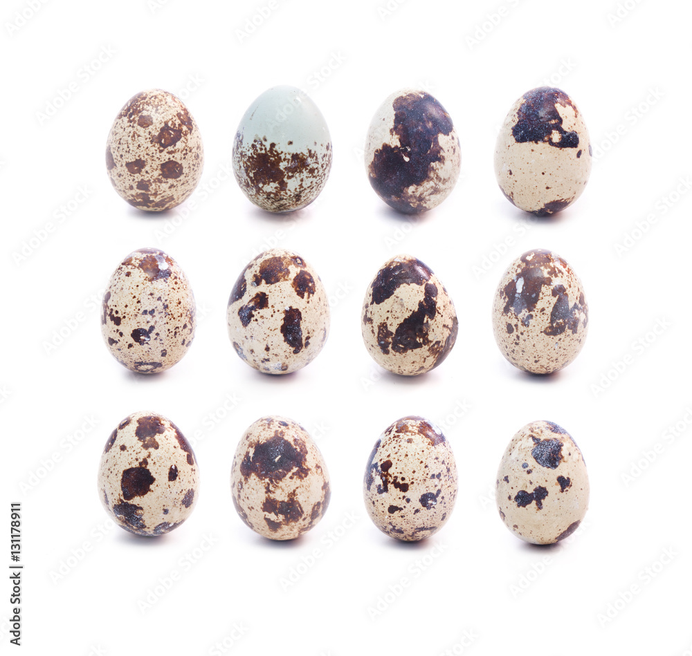 Set of dozen spotted quail eggs
