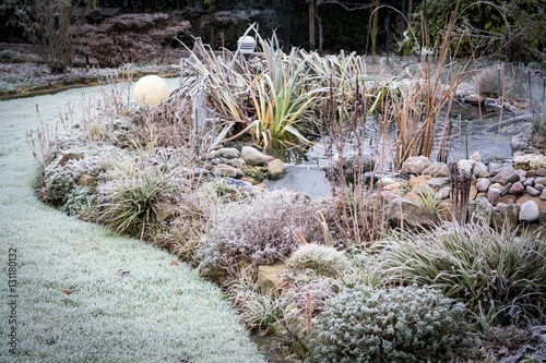 Frost im Garten mit Teich