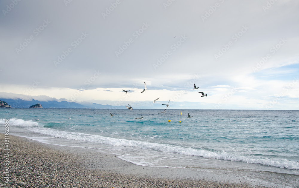 beach background sea and island and flying seagulls