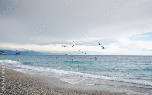 beach background sea and island and flying seagulls