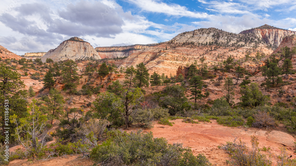 Breathtaking view of the orange cliffs. Amazing mountain landscape. Zion National Park, Utah, USA Breathtaking view of the orange cliffs. Amazing mountain landscape. Zion National Park, Utah, USA