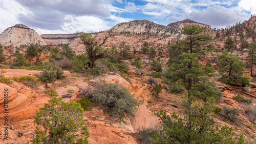 Breathtaking view of the orange cliffs. Amazing mountain landscape. Zion National Park, Utah, USA